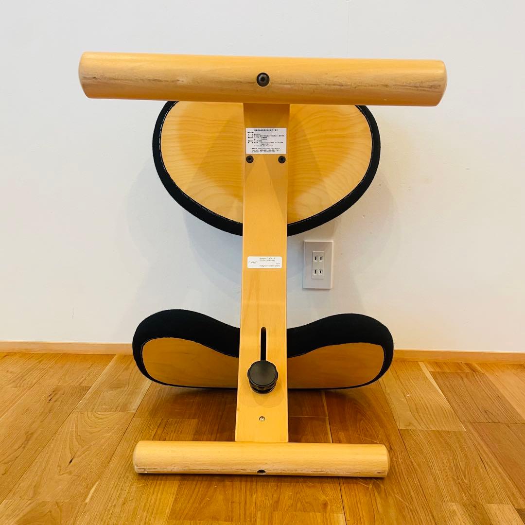 バランスチェア easy イージー リボ rybo バランスイージー サカモト