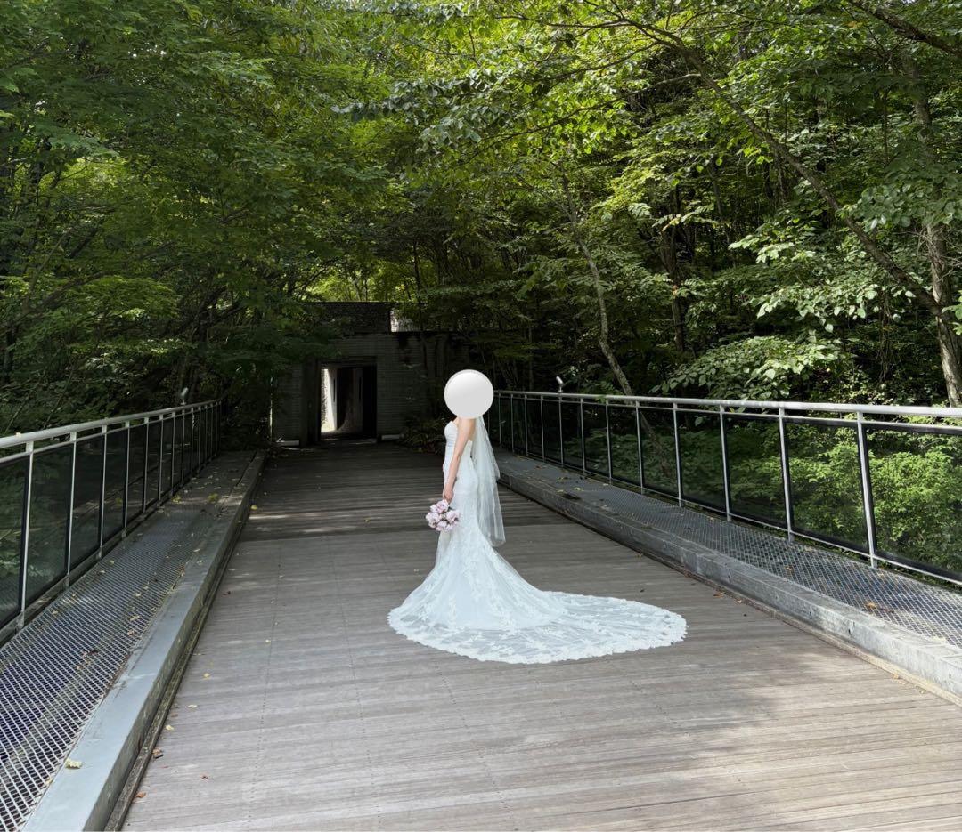 【値下げしました】PRONOVIAS ERMIN プロノビアス　マーメイドドレス