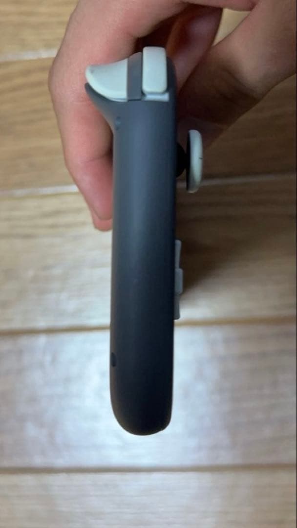 Nintendo Switch Lite グレー 本体　ソフトケース付