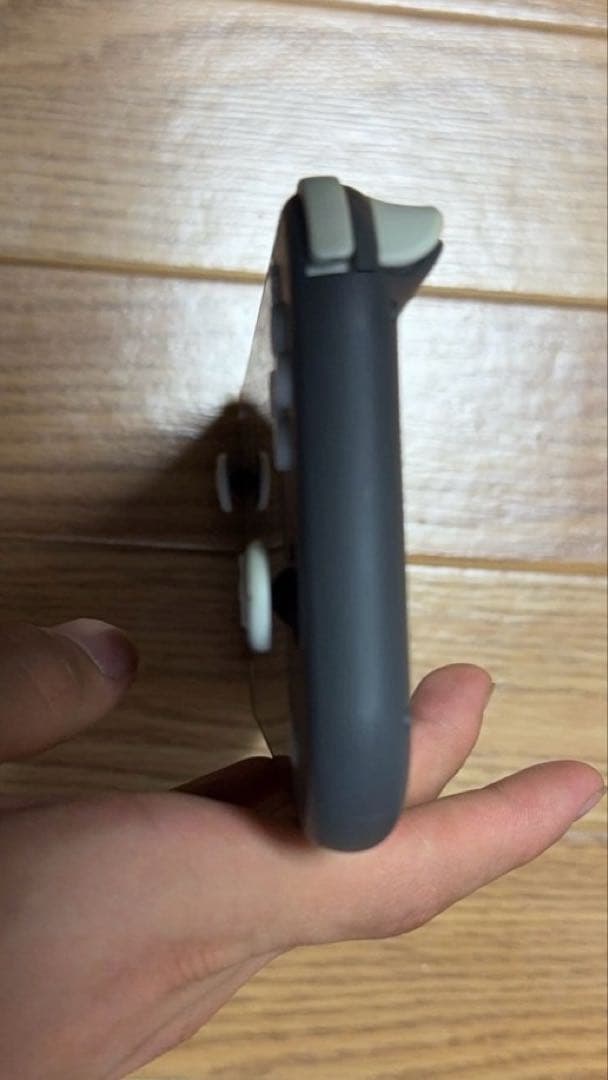 Nintendo Switch Lite グレー 本体　ソフトケース付