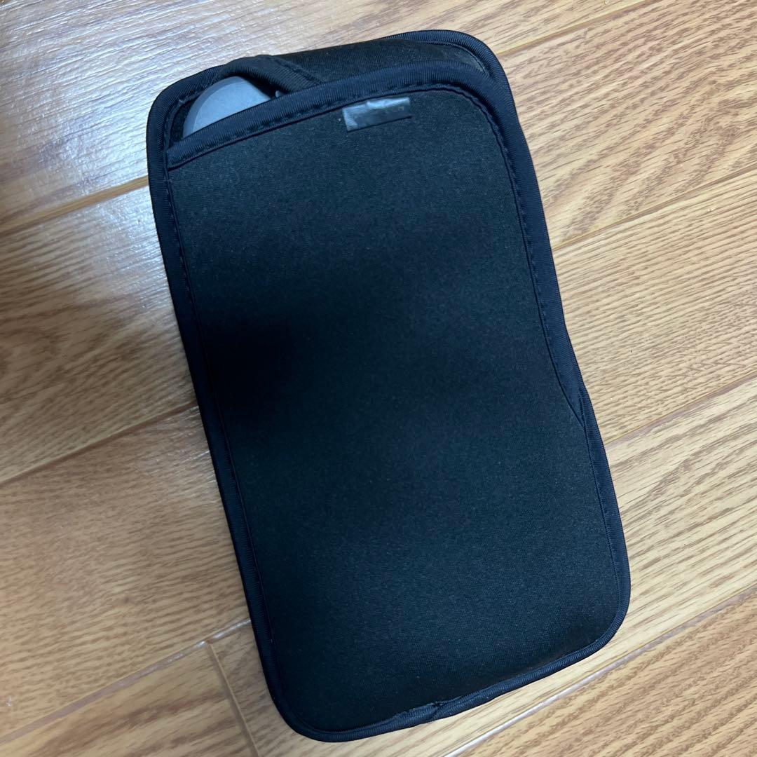 Nintendo Switch Lite グレー 本体　ソフトケース付