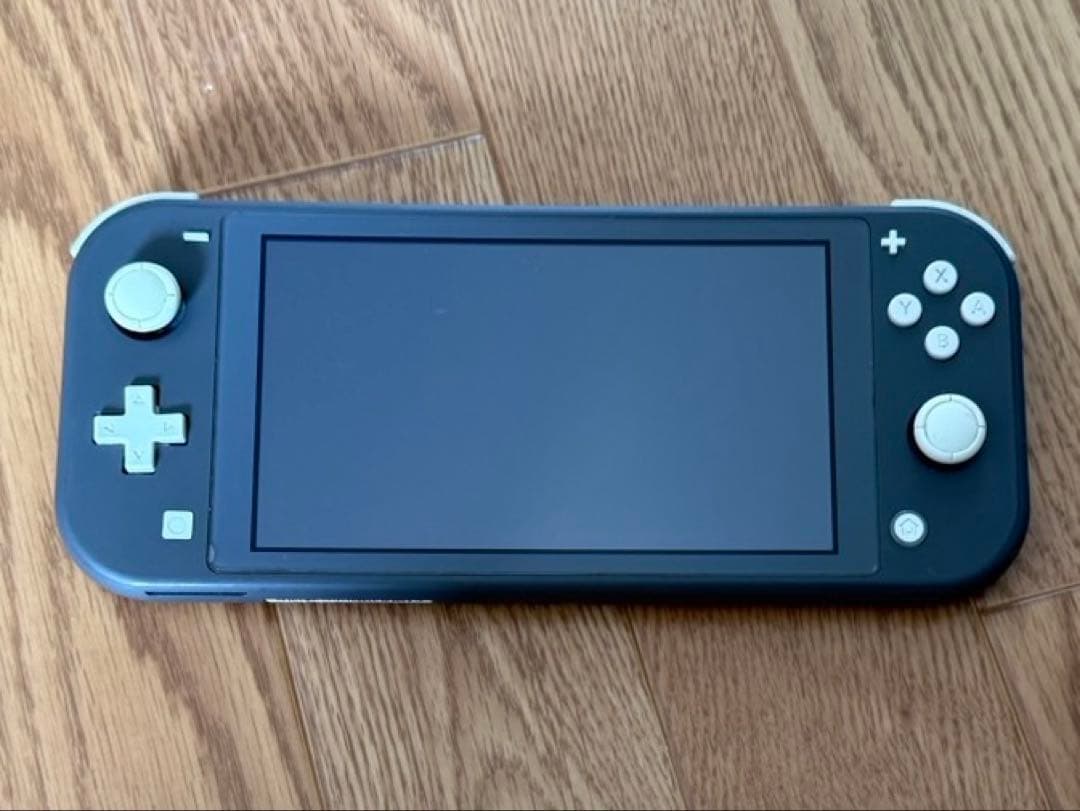 Nintendo Switch Lite グレー 本体　ソフトケース付