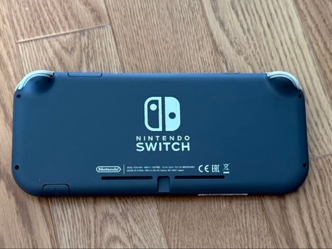 Nintendo Switch Lite グレー 本体　ソフトケース付
