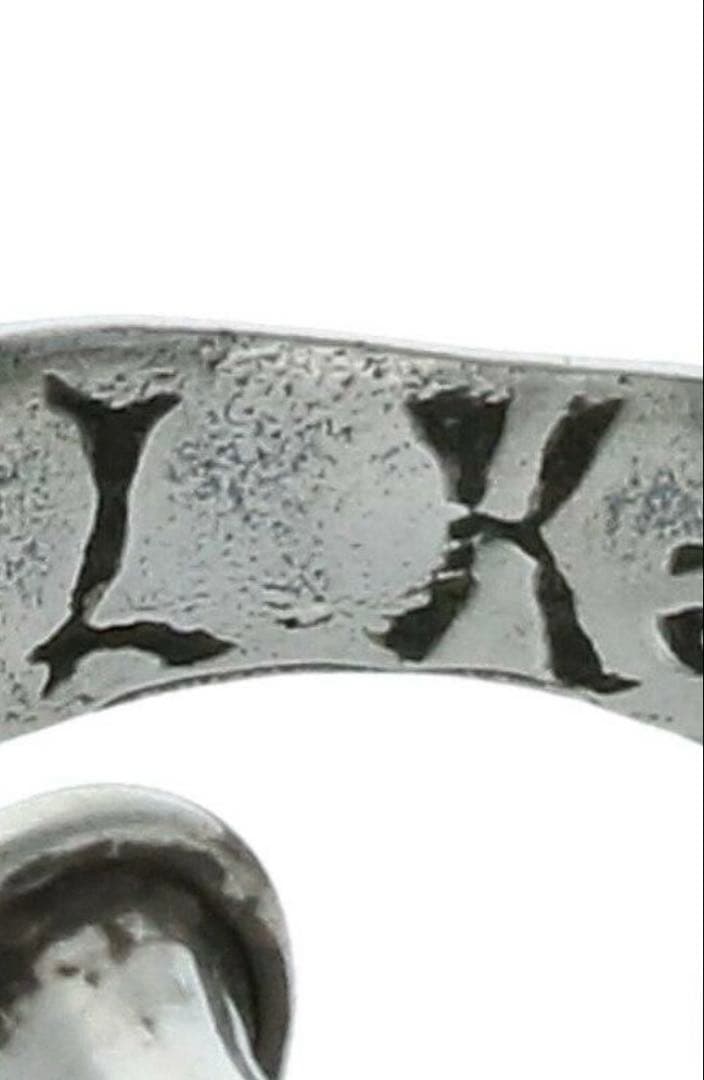 レナードカムホート　レイブンフープピアス