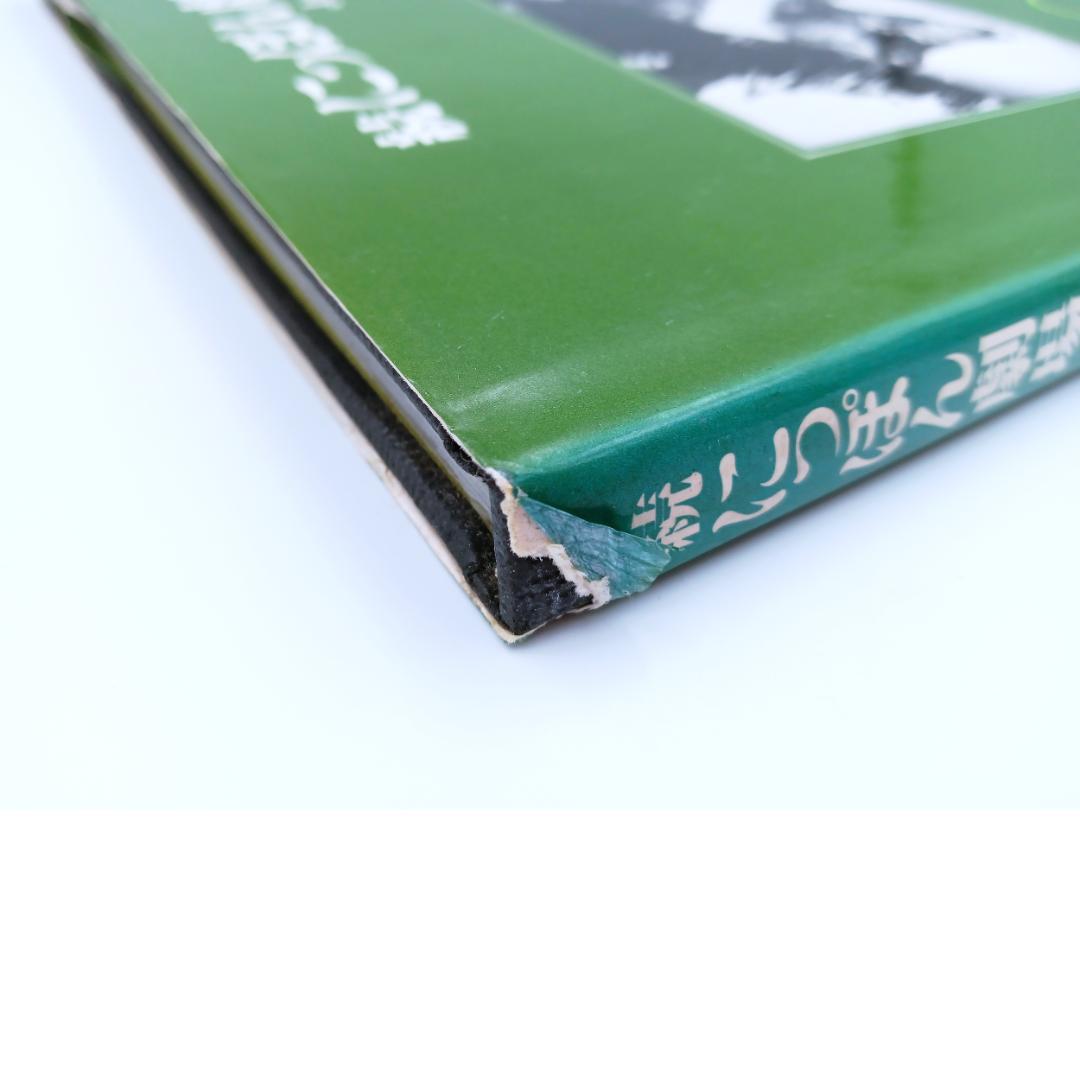 【希少】朝日　ソノラマ写真選書　森山大道　続にっぽん劇場 写真帖　美品