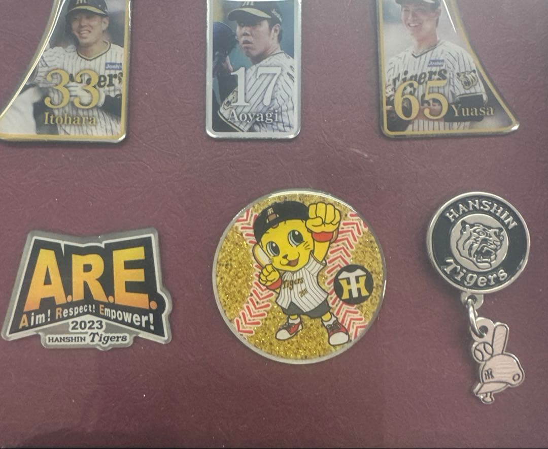 阪神タイガース　2023プレミアムプラス　ファンクラブ　ピンズ　コンプリート