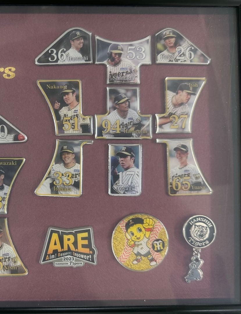阪神タイガース　2023プレミアムプラス　ファンクラブ　ピンズ　コンプリート