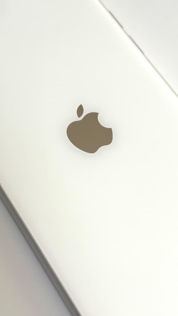 iPhone SE 第2世代 256GB