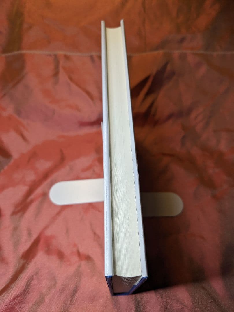 絶版　新品未使用品　リッチフローと幾何化予想　小林亮一　数理物理シリーズ　培風館