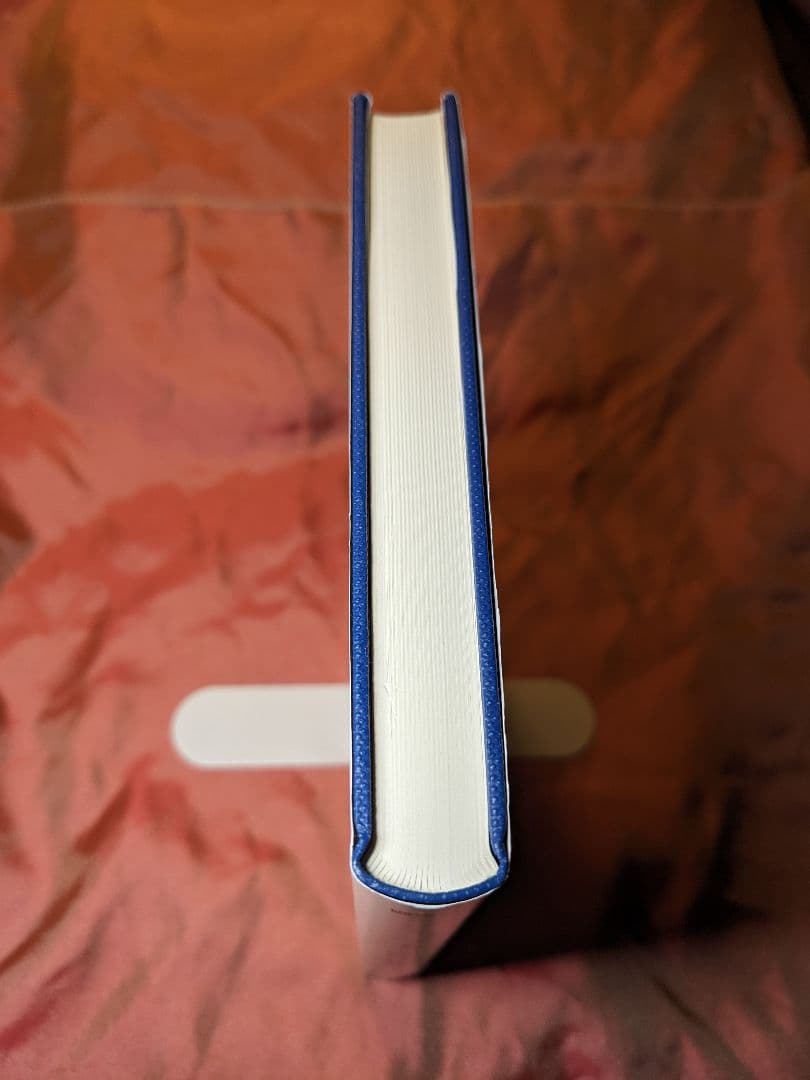 絶版　新品未使用品　リッチフローと幾何化予想　小林亮一　数理物理シリーズ　培風館