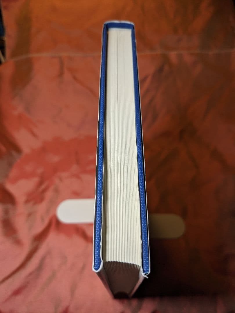 絶版　新品未使用品　リッチフローと幾何化予想　小林亮一　数理物理シリーズ　培風館