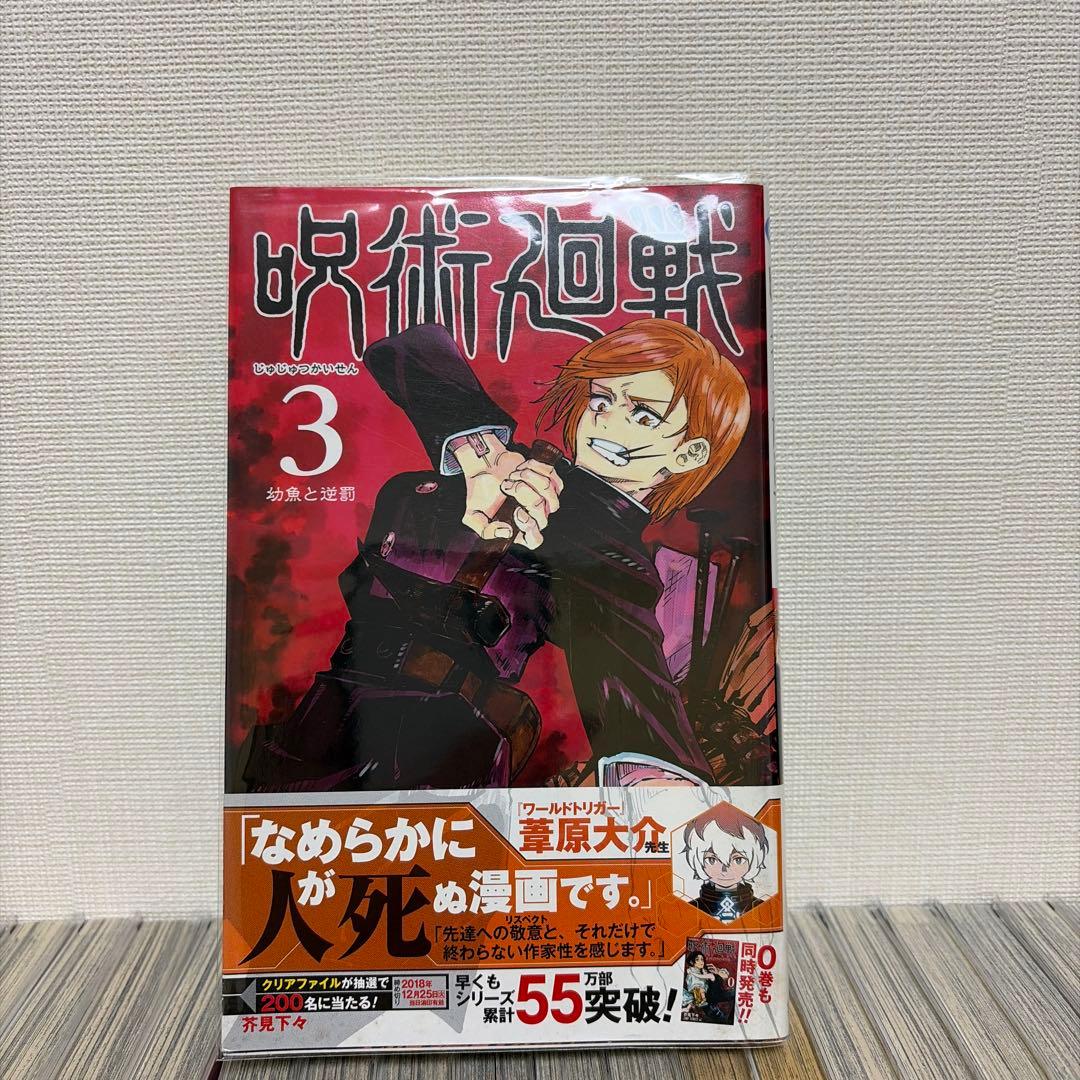 呪術廻戦 全巻　小説2冊(夜明けのいばら道.逝く夏と還る秋)付き