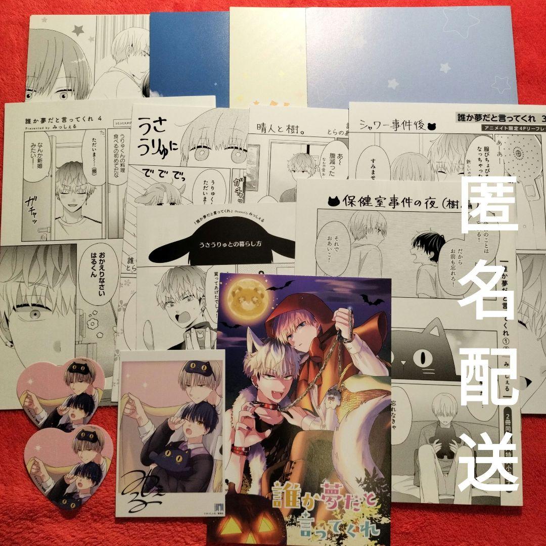 みっしぇる　誰か夢だと言ってくれ　特典セット　リーフレット　コミコミスタジオ