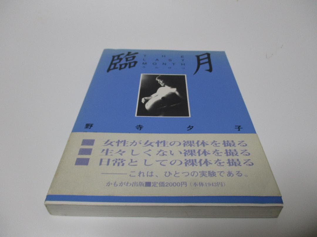 臨月 野寺夕子 THE LAST MONTH