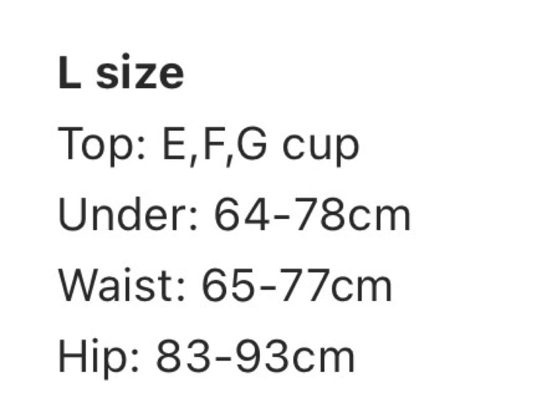 ALEXIA STAM ブラック水着 Lサイズ