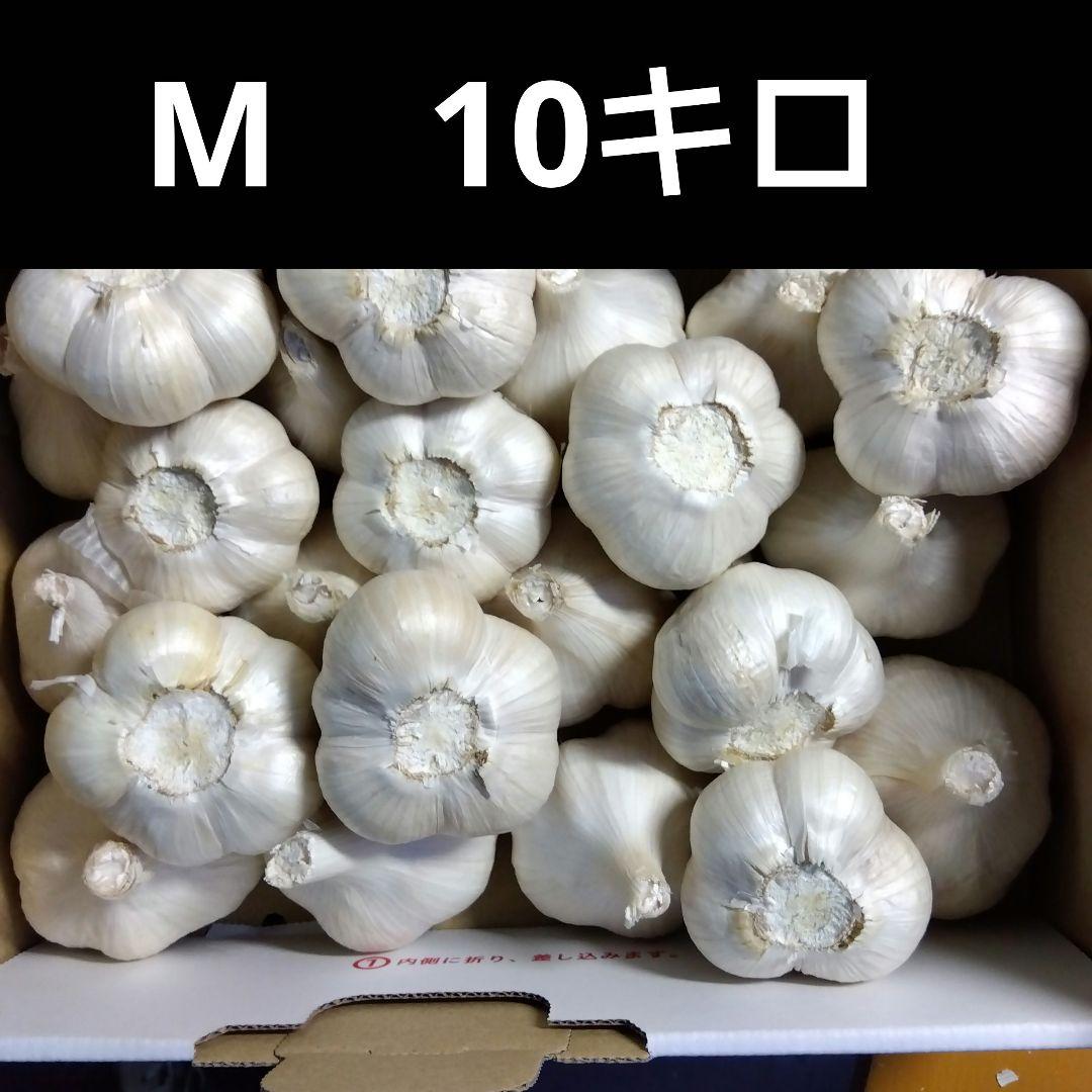 青森県産にんにく　nossnan