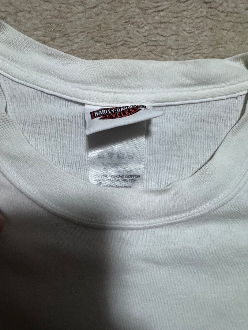 00s Harley-Davidson ハーレー フレイム ロンT USA製