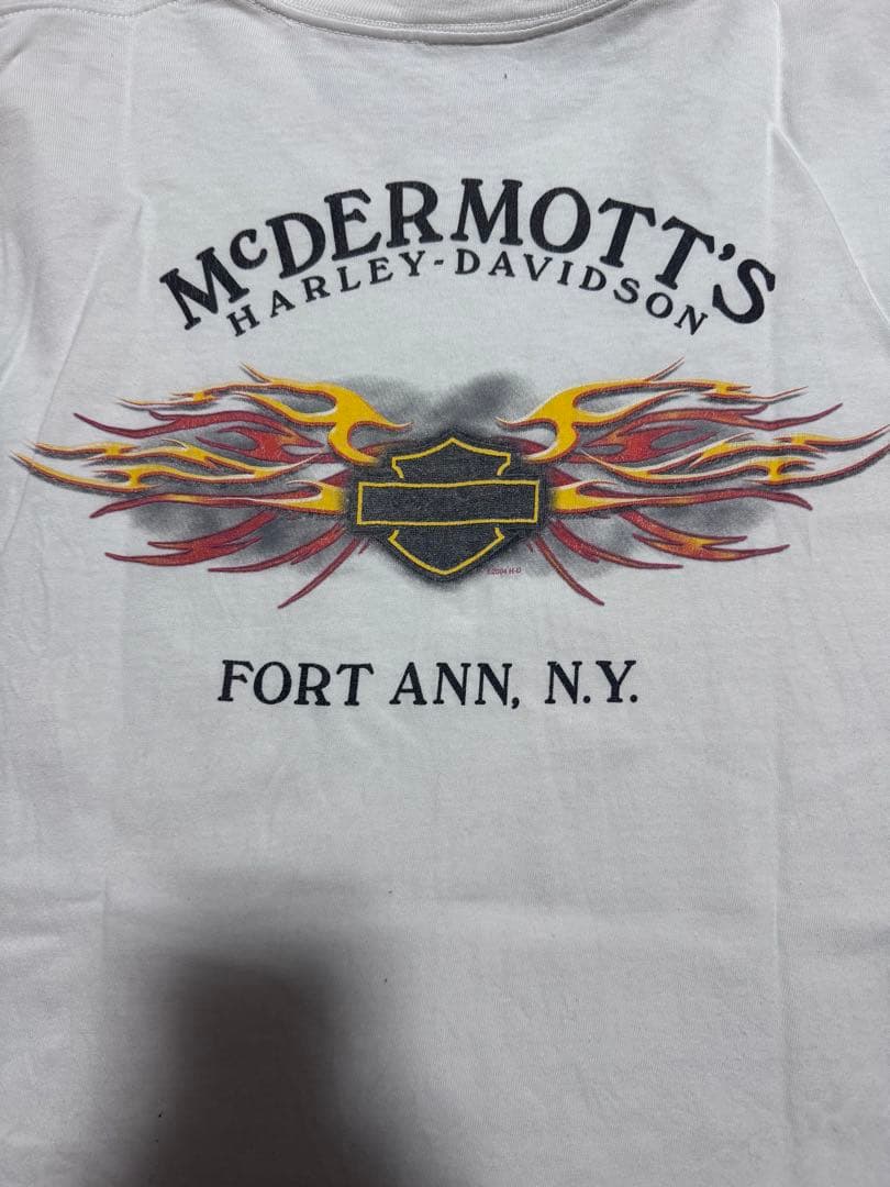 00s Harley-Davidson ハーレー フレイム ロンT USA製