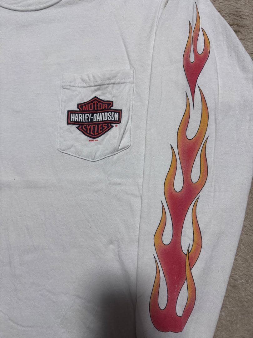 00s Harley-Davidson ハーレー フレイム ロンT USA製