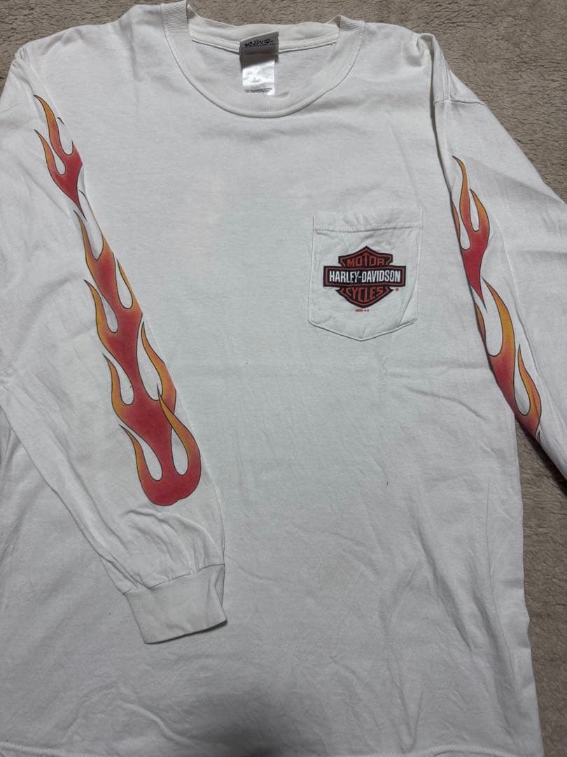 00s Harley-Davidson ハーレー フレイム ロンT USA製