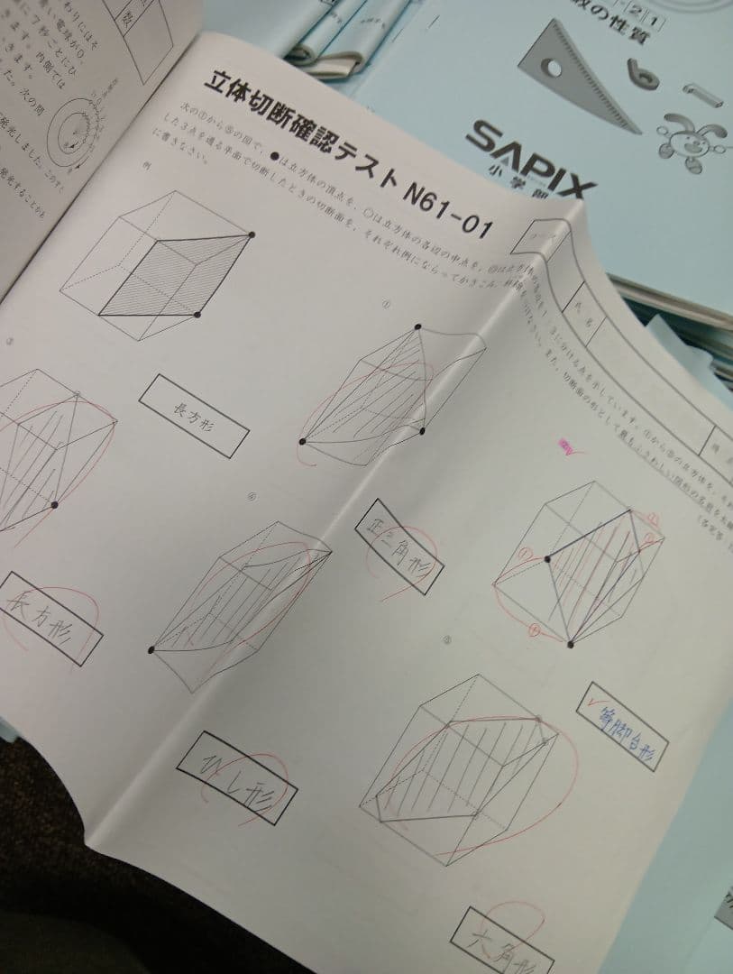 サピックス　6年算数デイリー/春/夏/冬/土特/日特 2025年受験中古