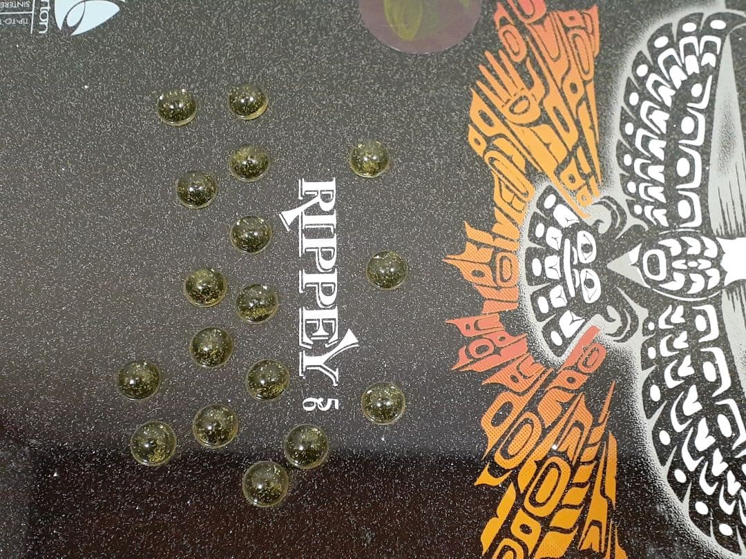 BURTON バートン RIPPEY56(153) ビンテージ