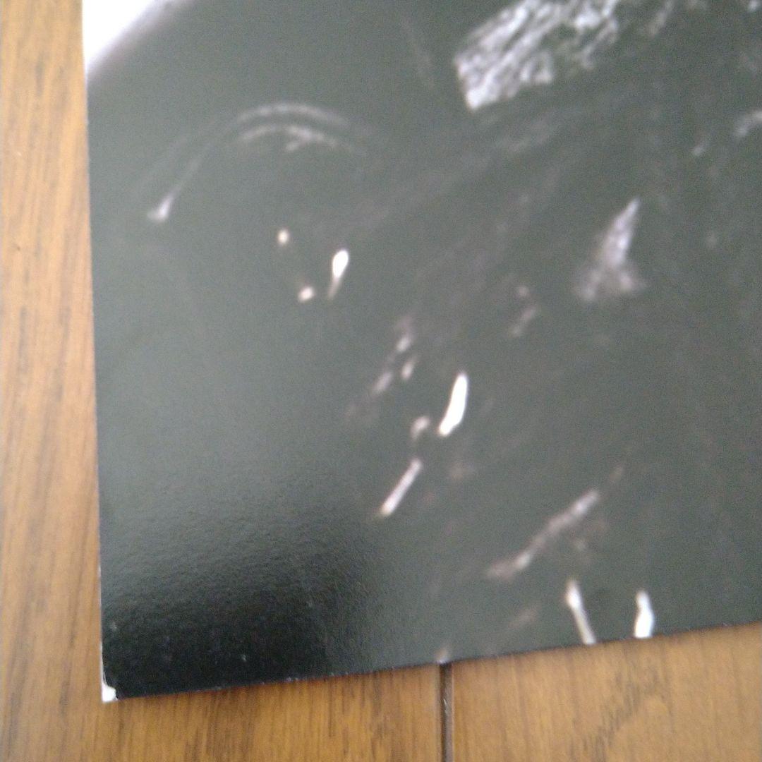 Versailles PRINCE&PRINCESS KAMIJO ポスター