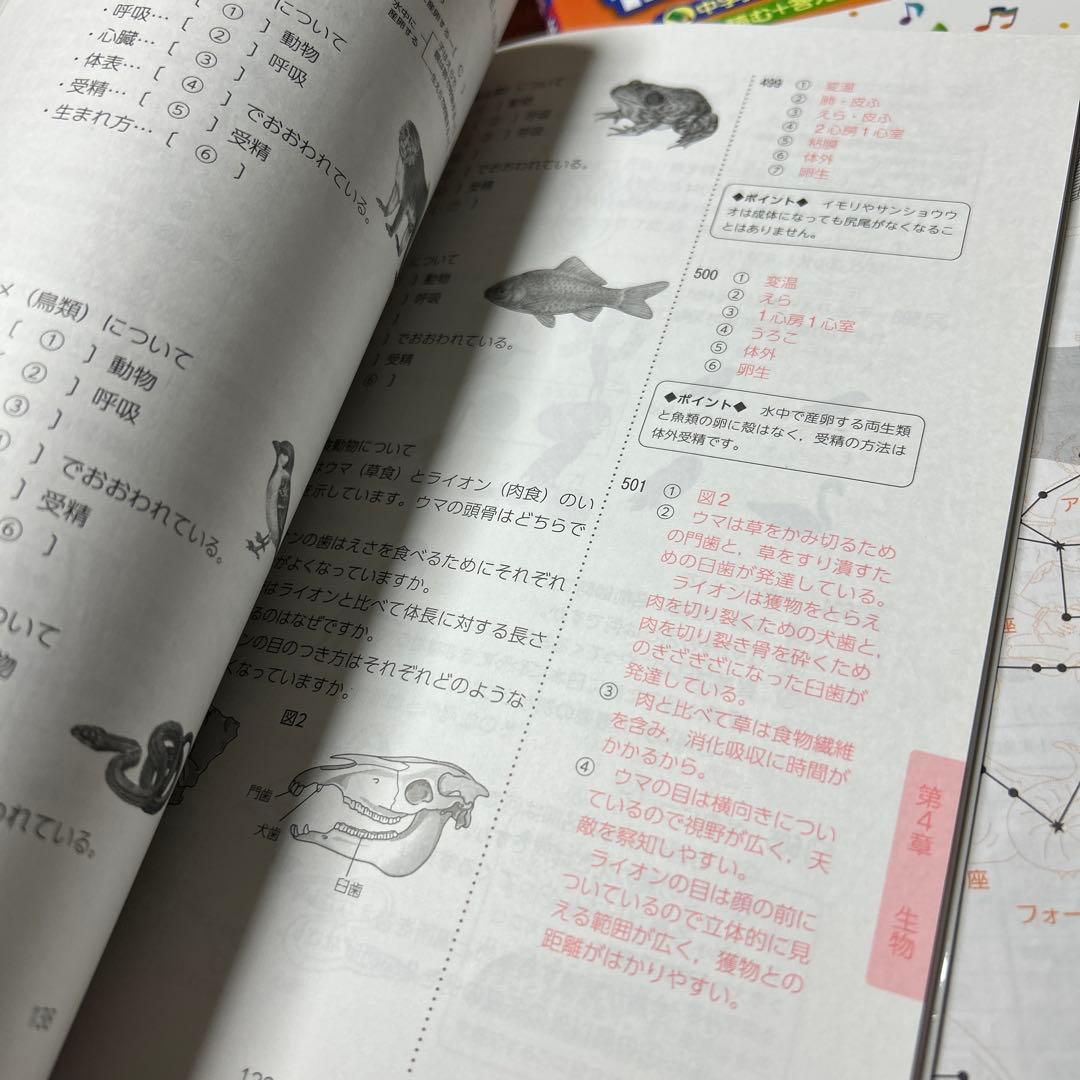 ㉓に　サピックス SAPIX 社会コアプラス　理科コアプラス　重要教材❣️