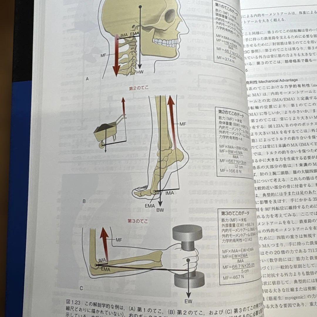 筋骨格系のキネシオロジー 第3版