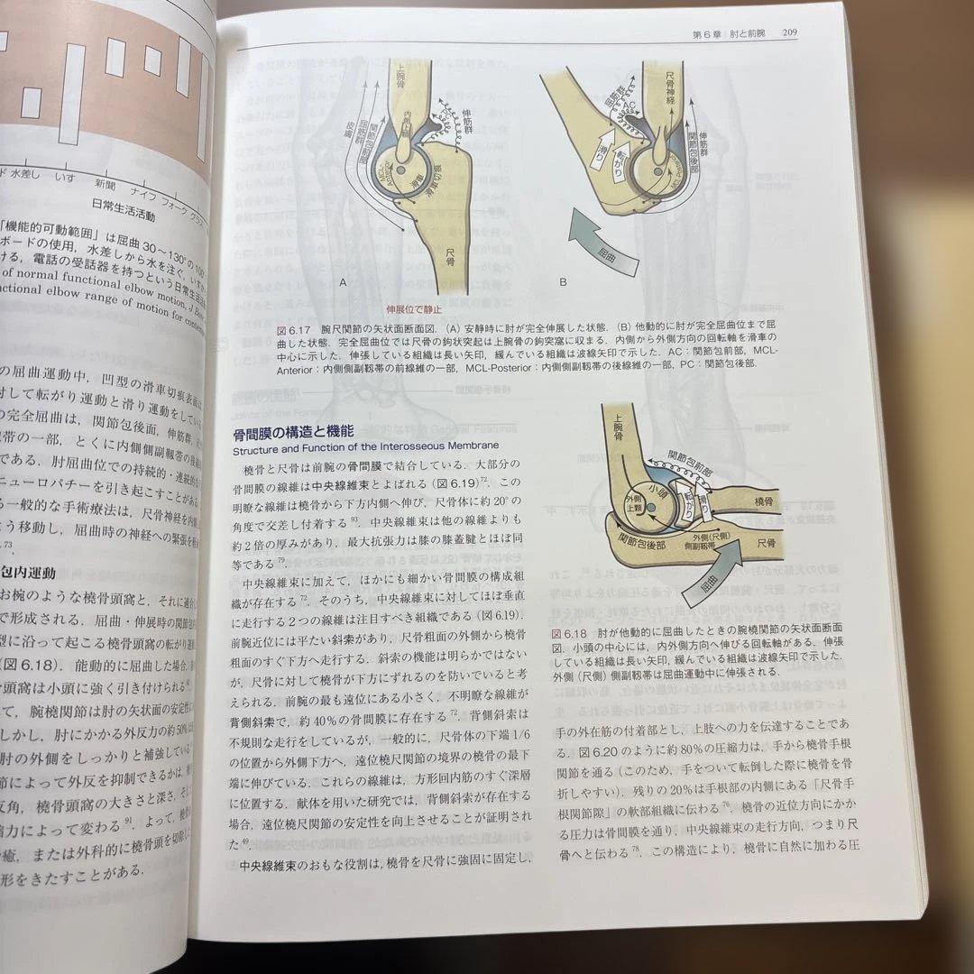 筋骨格系のキネシオロジー 第3版