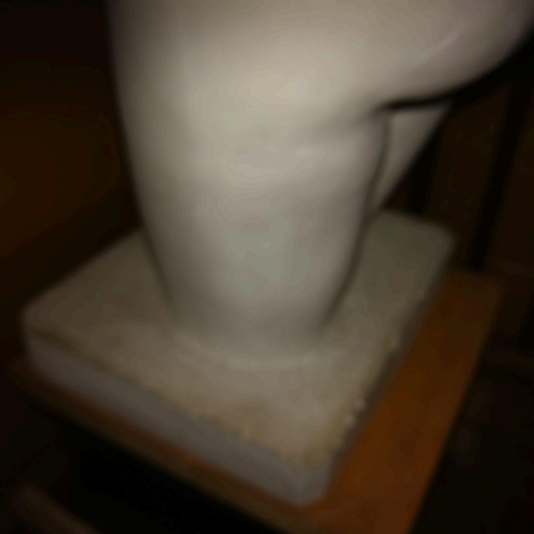 石膏像 トルソー 裸婦像