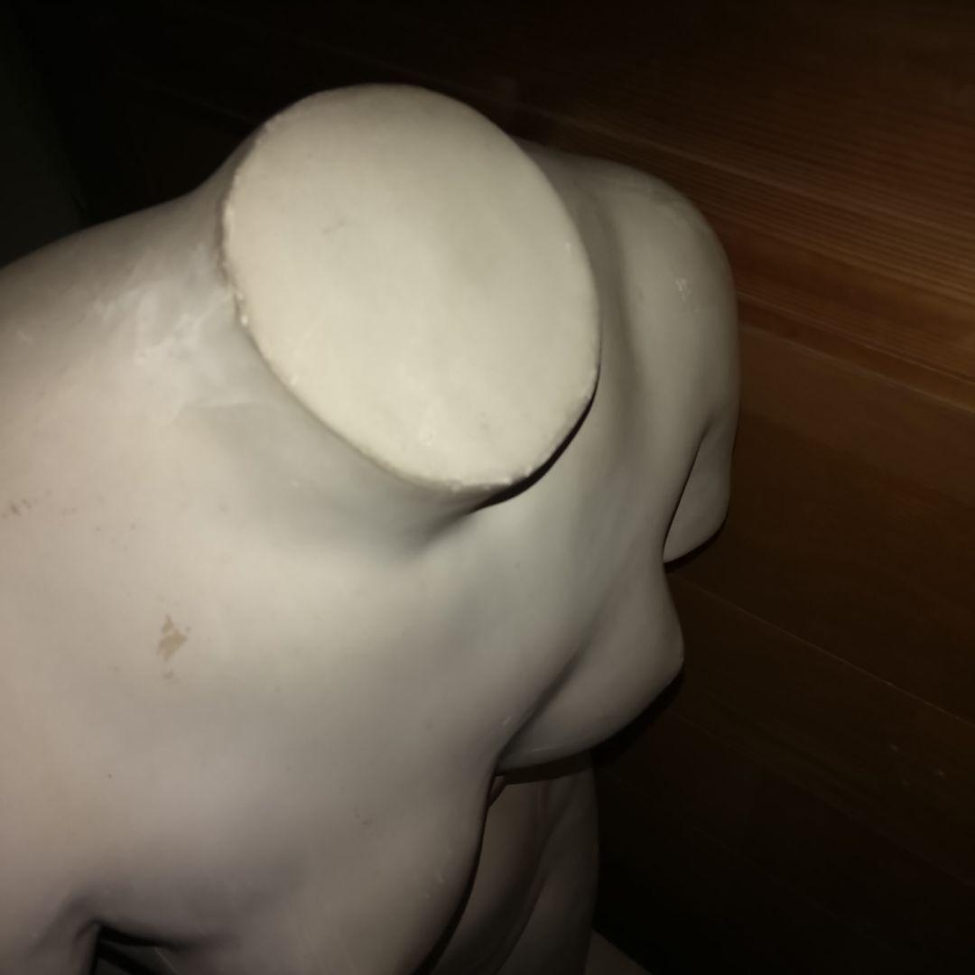 石膏像 トルソー 裸婦像