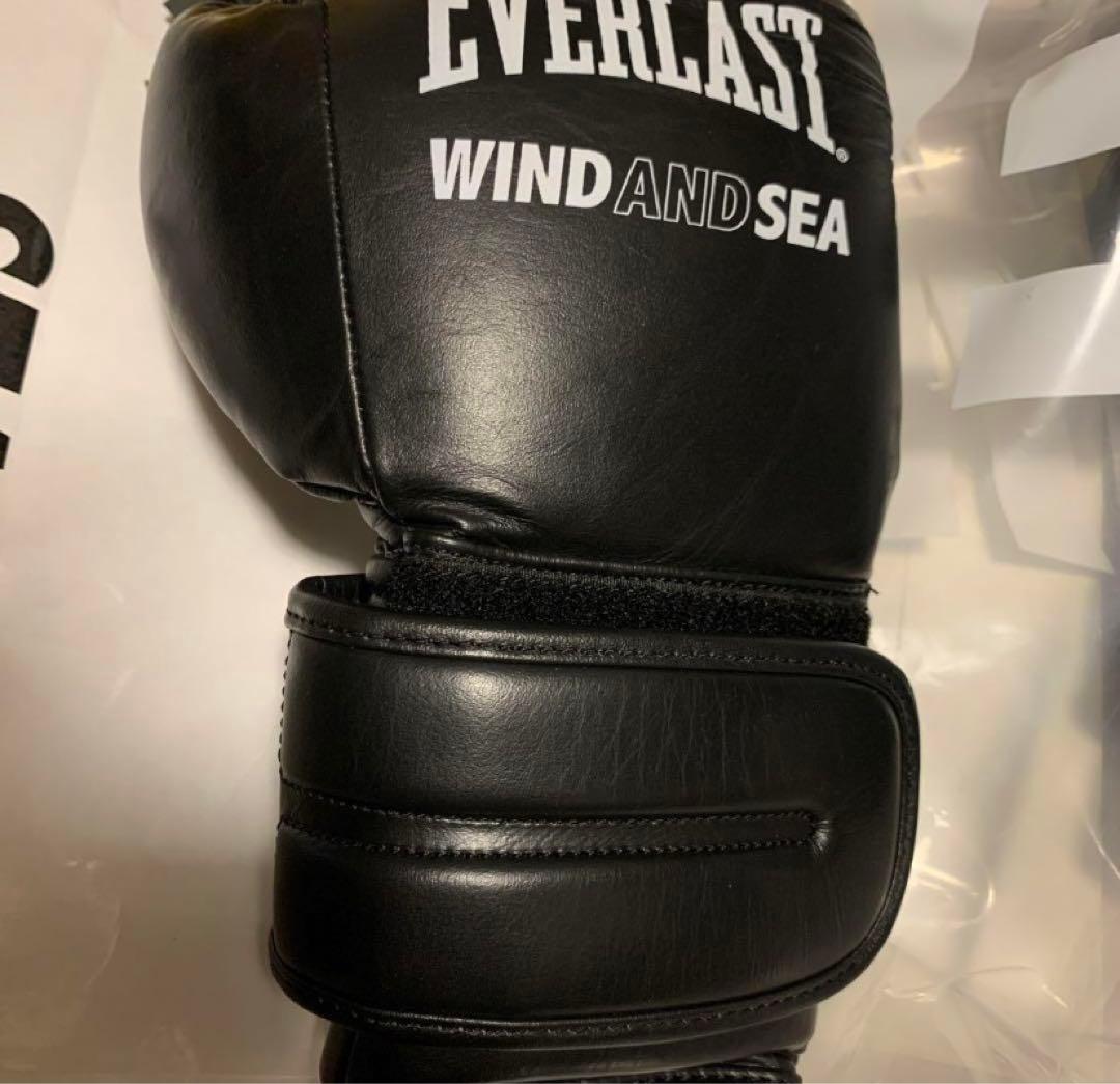 春に散る X WDS X EVERLAST BOXING GLOVE 10oz