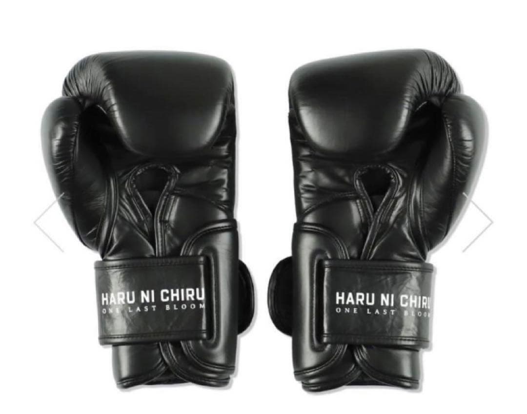 春に散る X WDS X EVERLAST BOXING GLOVE 10oz