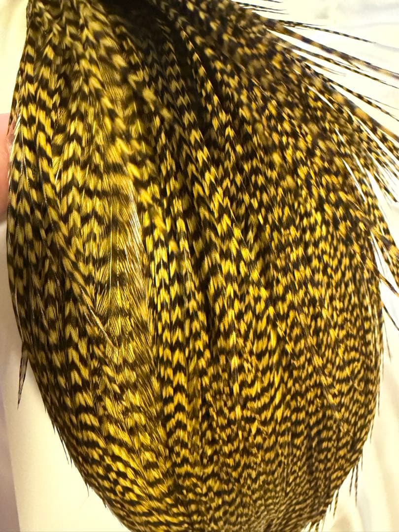 Whiting フライマテリアル HI&Dry ゴールデンオリーブ