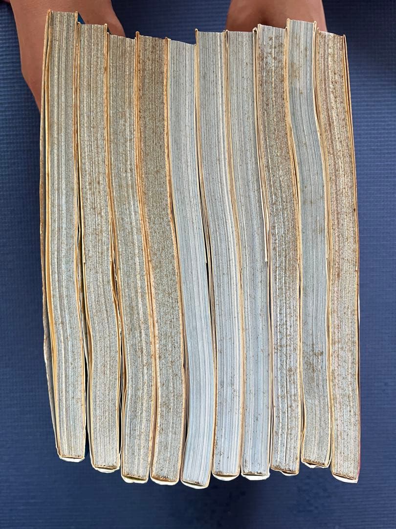 ムツゴロウとゆかいな仲間たち　畑正憲　珠玉の写真集　1〜10巻セット