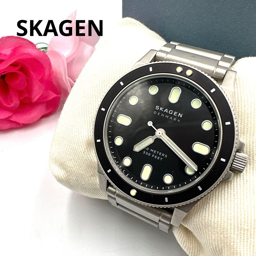 【極美品】SKAGEN スカーゲン ダイバーズウォッチ FISK SKW6666