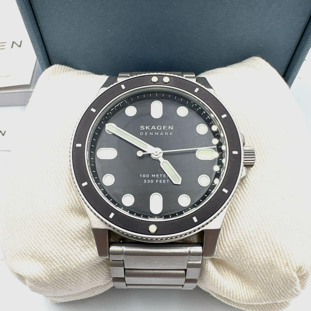 【極美品】SKAGEN スカーゲン ダイバーズウォッチ FISK SKW6666