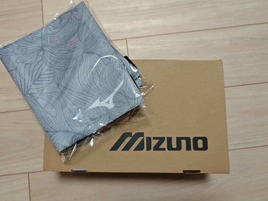 【土日限定値下げ！】ミズノ 27.0 WAVE PROPHECY MOC GTX