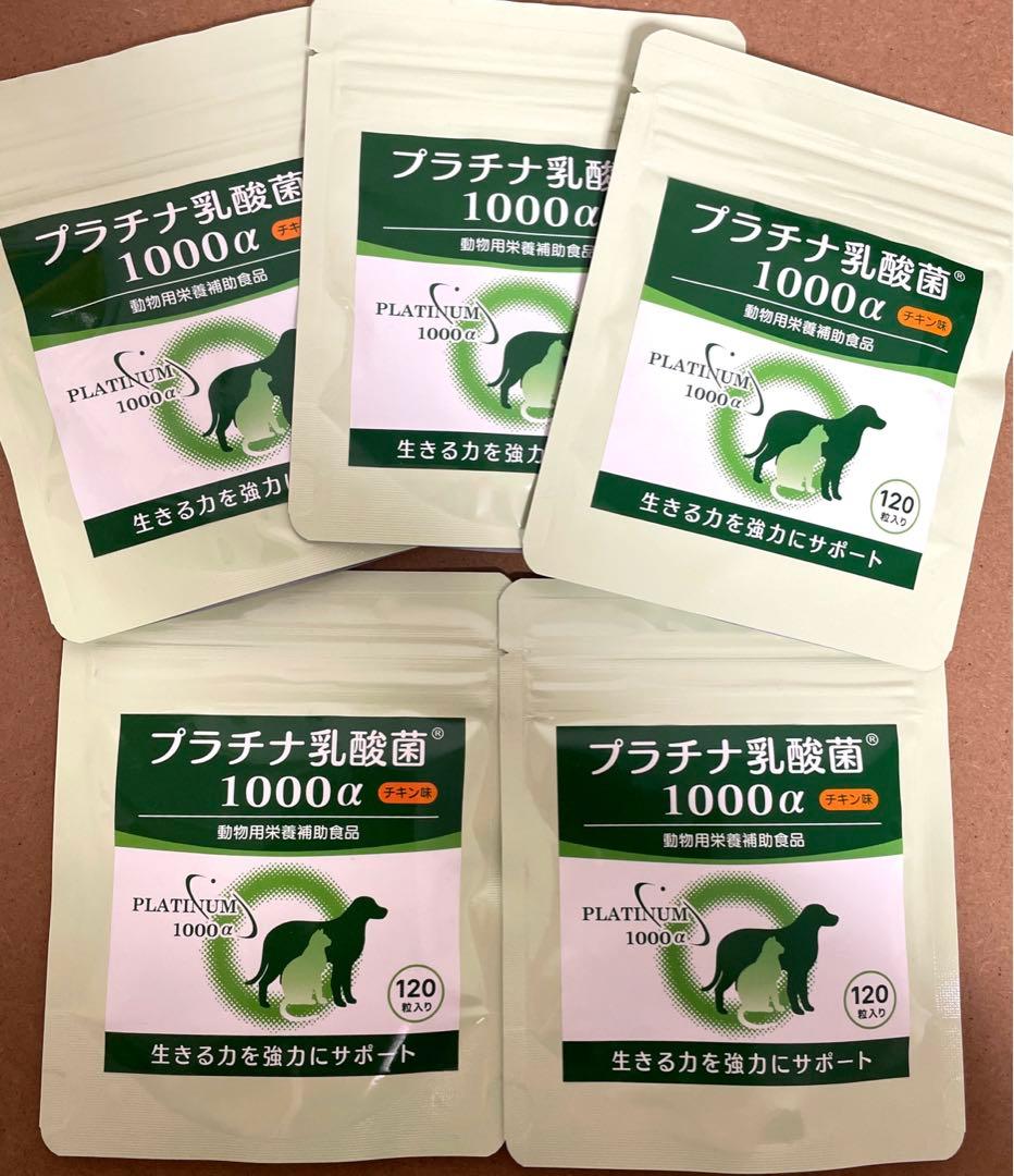 猫　犬　プラチナ乳酸菌　1000α 5袋セット