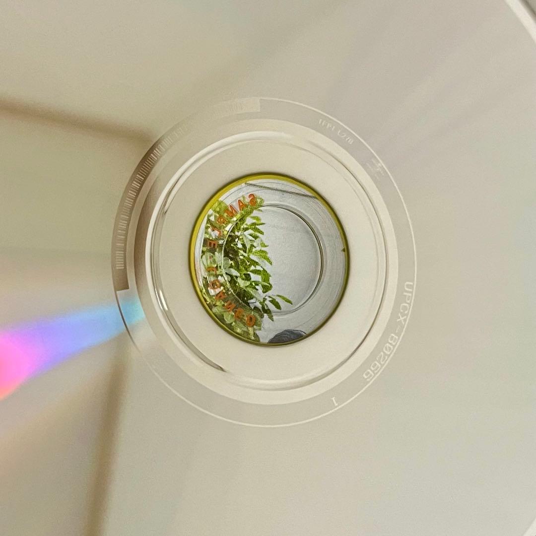 ミセスグリーンアップル　どこかで日は昇る　初回限定盤　ポストカード付き