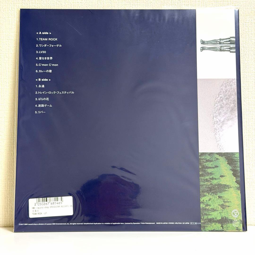 TEAM ROCK / くるり　未使用 レコード 2017年盤