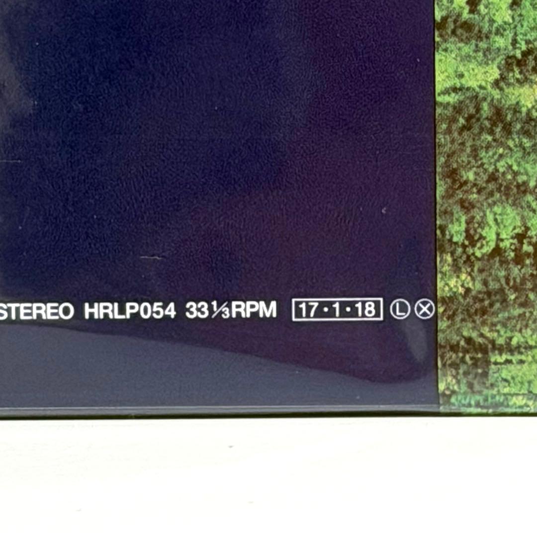 TEAM ROCK / くるり　未使用 レコード 2017年盤