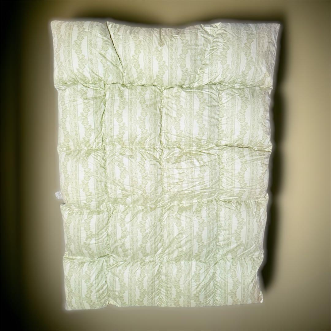 西川　高級カナダ産羽毛掛け布団 シングル150cm x 210cm グリーン