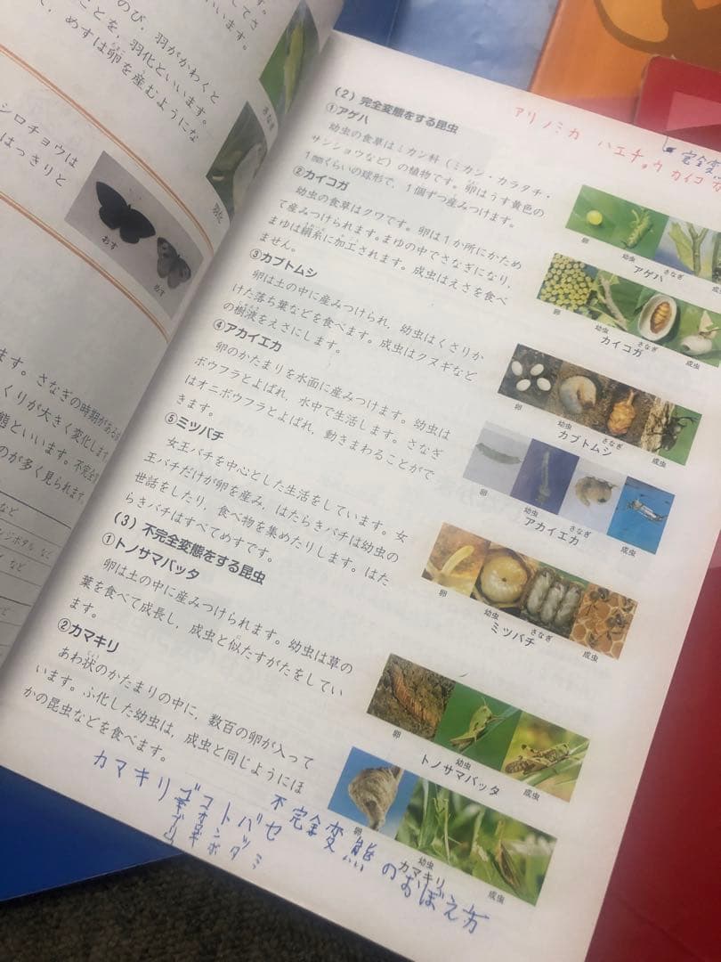 改定新版　四谷大塚４年予習　国算理社/漢字/計算/　上下　2021年度版　中古