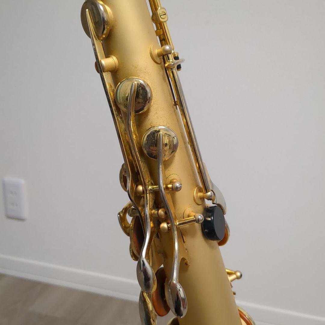 borgani pearl gold ボガーニ　テナーサックス