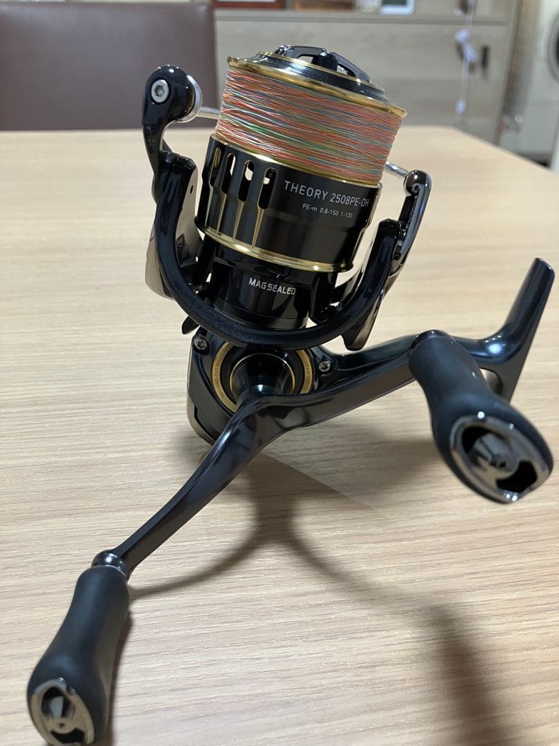リール DAIWA THEORY 2508PE-DH