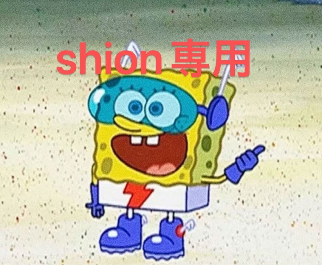 shion専用（c