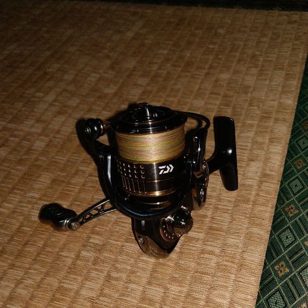 ダイワ15イグジスト2508PE リブレ付き