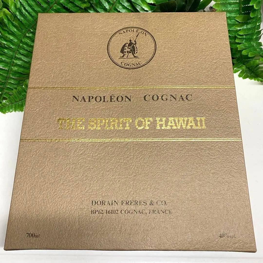 専用 ページ！ ハワイTIKI★TIKIボトル★HAWAII★ナポレオン